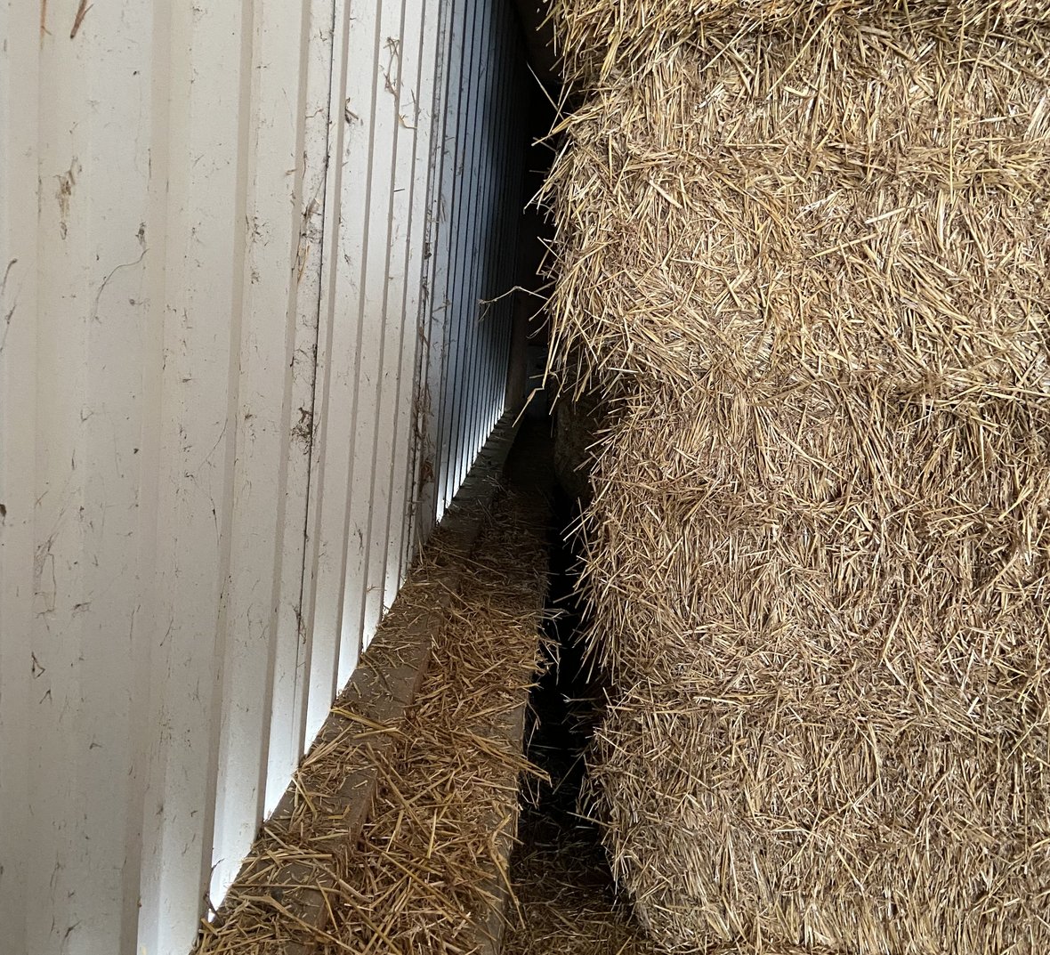 © Netzwerk Fokus Tierwohl, Landwirtschaftskammer NRW