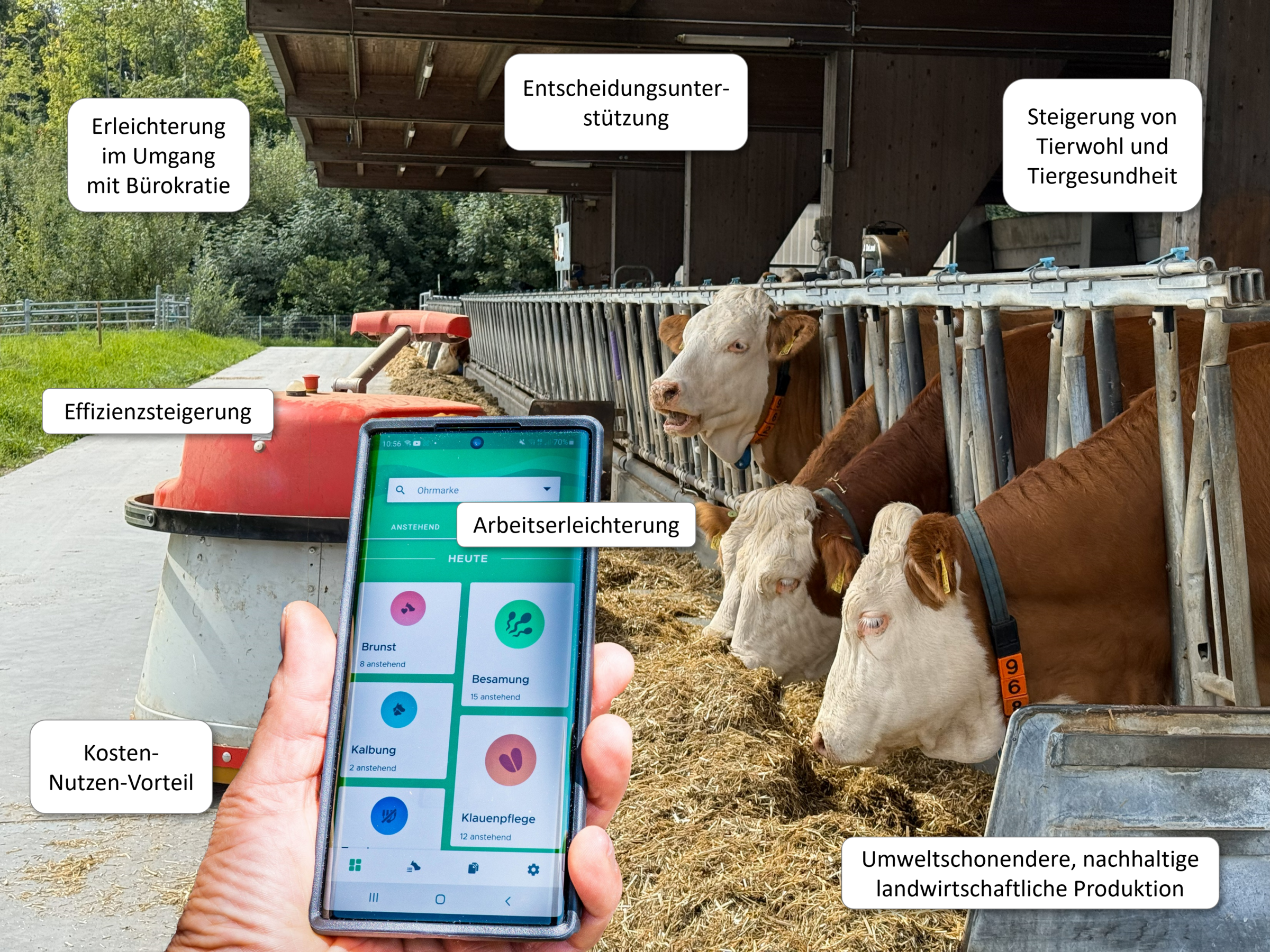 Fressende Rinder im Fressgitter auf der rechten Bildhälfte. Ein Anschieberoboter fährt im Hintergrund. Smartphone in einer Hand mit geöffnetem Dashboard eines Herdenmanagementprogrammes. Über das Bild verteilt sind Info-Sprechblasen zu Erwartungen an den Einsatz von Digitalisierung und KI angeordnet.