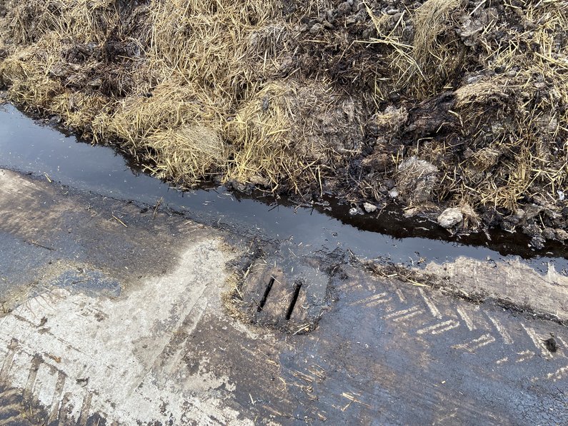 © Netzwerk Fokus Tierwohl, Landwirtschaftskammer NRW