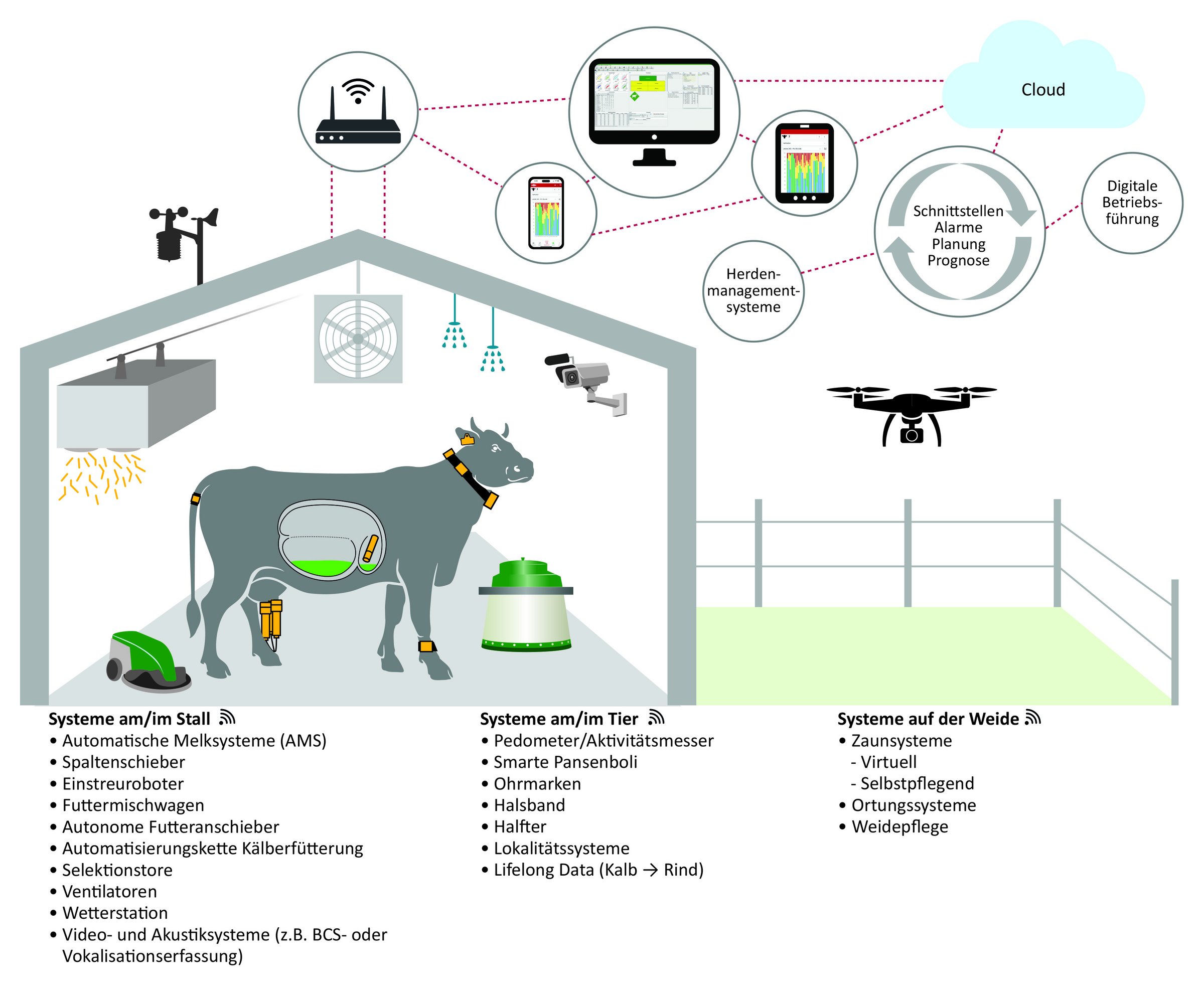 Infografik zu verschiedenen digitalen Systemen in der Rinderhaltung, aufgeteilt nach Anwendungen im Stall (linke Bildseite) und im Weidebereich (rechte Bildseite). Im Himmel wird über verschiedene Symbole die Vernetzung der Systeme untereinander, mit Managementsystemen und dem Internet symbolisiert. Unter der Abbildung findet sich eine namentliche Auflistung der Systeme, getrennt in die Kategorien "am/imStall", "am/im Tier" und "auf der Weide". 