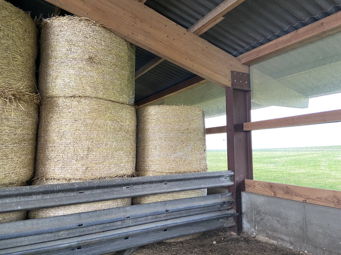 © Netzwerk Fokus Tierwohl, Landwirtschaftskammer NRW